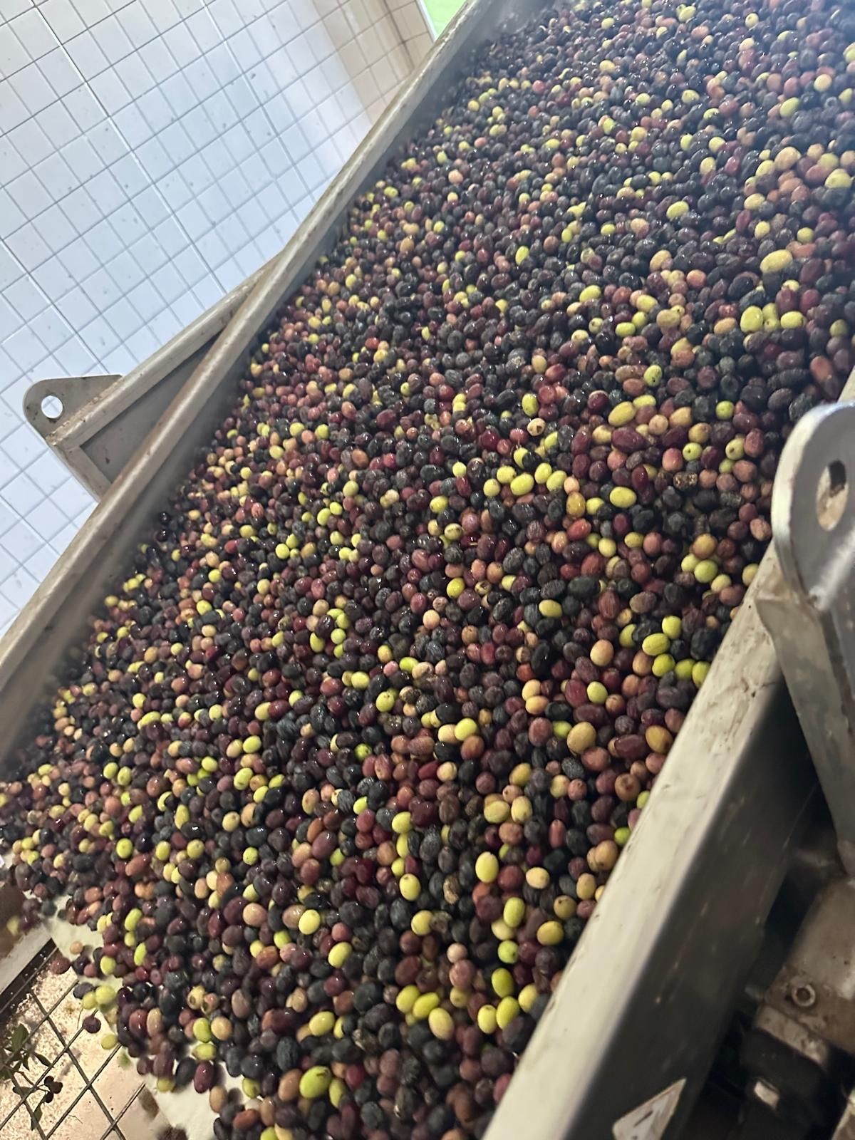 Internasjonalt nettverk